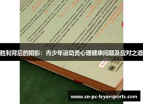 胜利背后的阴影：青少年运动员心理健康问题及应对之道