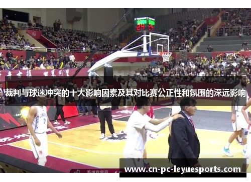 裁判与球迷冲突的十大影响因素及其对比赛公正性和氛围的深远影响