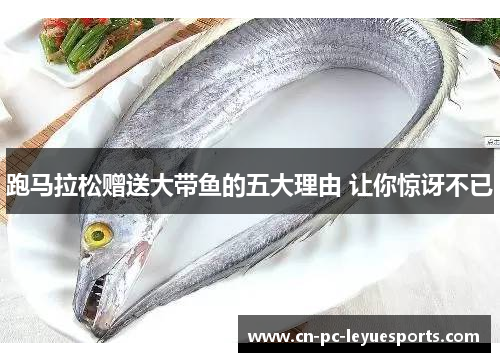 跑马拉松赠送大带鱼的五大理由 让你惊讶不已 跑马拉松赠送大带鱼的五大理由 让你惊讶不已