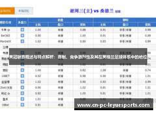 英冠联赛概述与特点解析：赛制、竞争激烈性及其在英格兰足球体系中的地位
