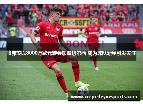 哈弗茨以8000万欧元转会加盟切尔西 成为球队新星引发关注 哈弗茨以8000万欧元转会加盟切尔西 成为球队新星引发关注