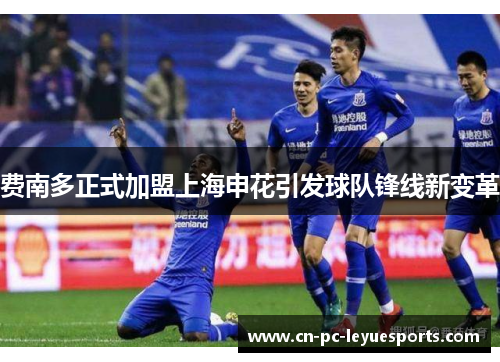 费南多正式加盟上海申花引发球队锋线新变革 费南多正式加盟上海申花引发球队锋线新变革
